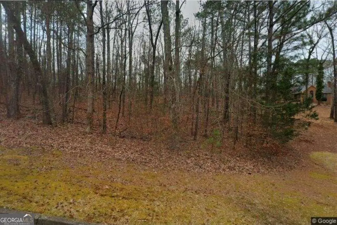 3613 Sierra Drive, Stockbridge, GA 30281 - #1