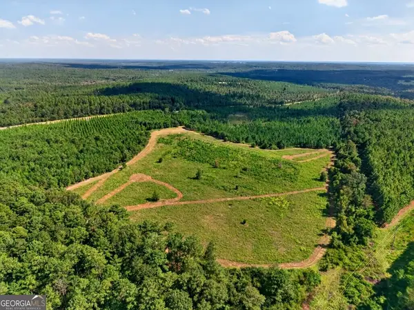 2150 Buena Vista Highway, Mauk, GA 31058