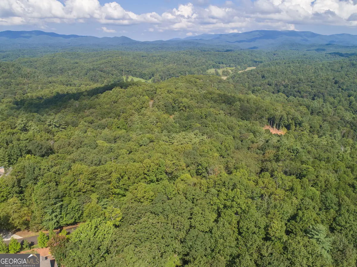 LOT 13 Shady Pine Trail, Ellijay, GA 30540 - #1