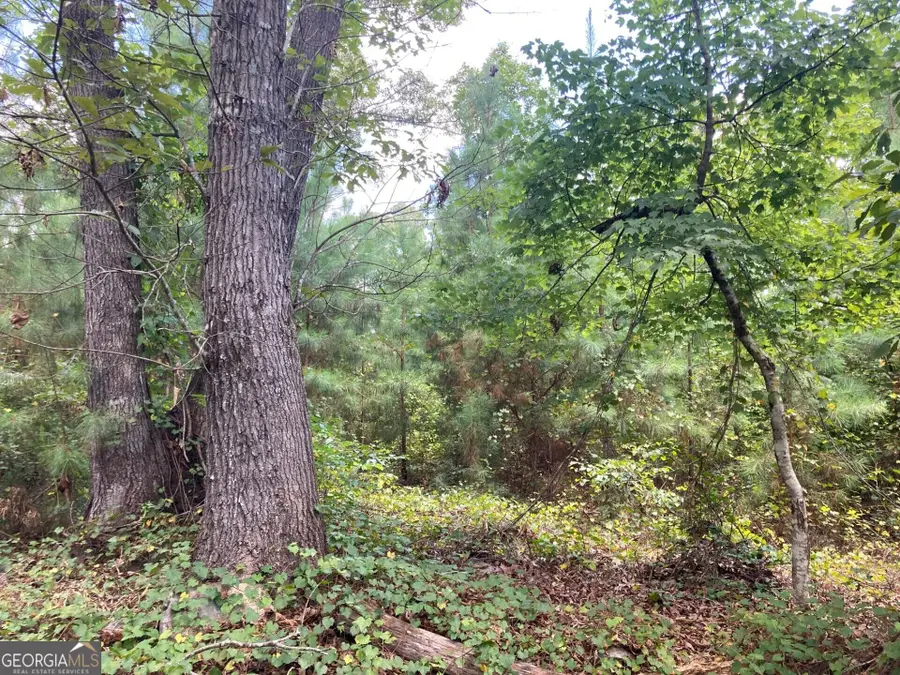 0 Stark Road, Jackson, GA 30233 - #3
