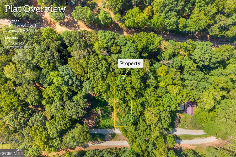 0 Ridgeview Court, Lavonia, GA 30553 - #2