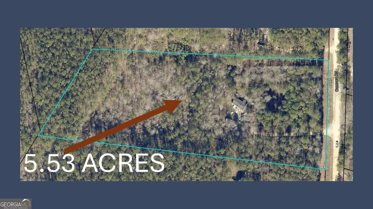 1211 Concord Road, Shady Dale, GA 31085 - #1
