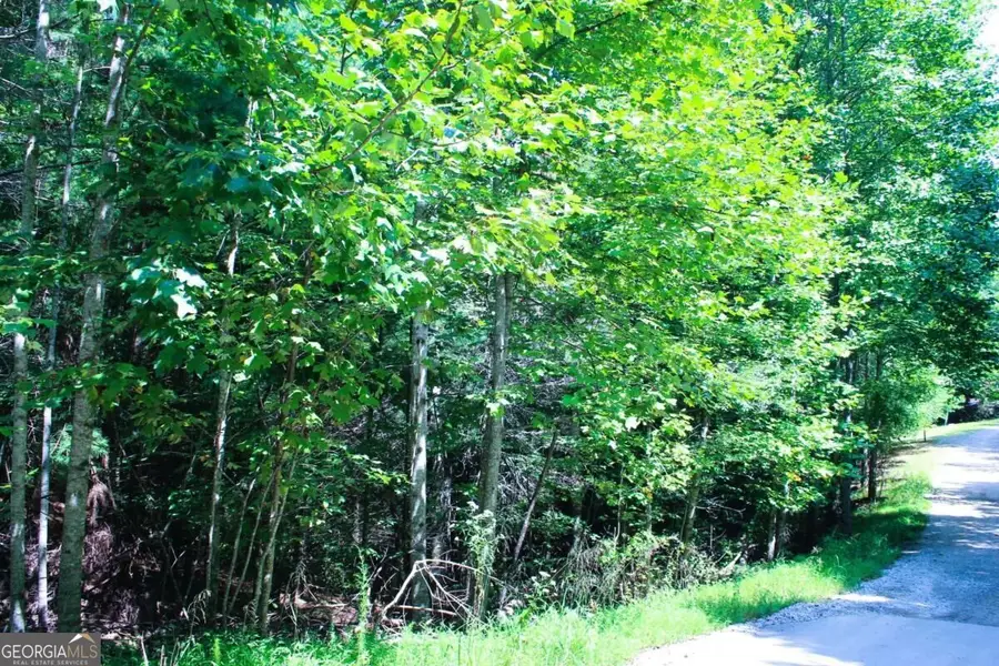 LOT 18 Wilderness Walk, Blairsville, GA 30512 - #2