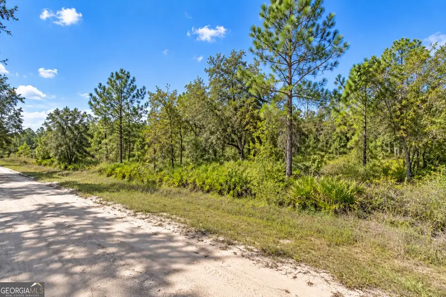 1.24 ACRES Sink Hole Road, Fort Meade, FL 33841 - #2