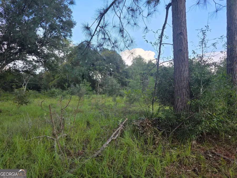 0 Melvin Lane Se, Baxley, GA 31513 - #2