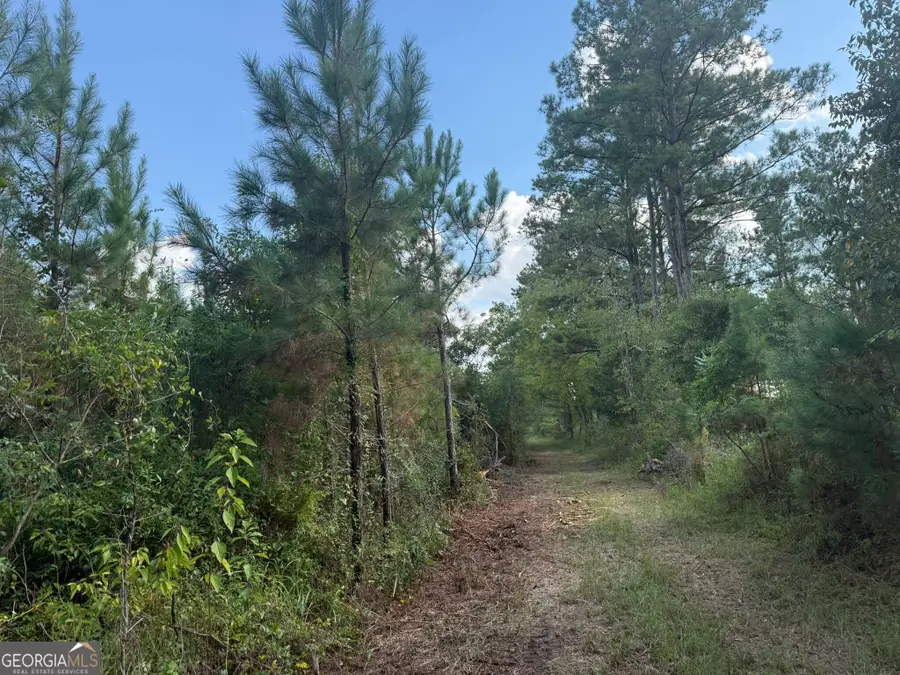 002 George Milling Road, Cuthbert, GA 39840 - #3