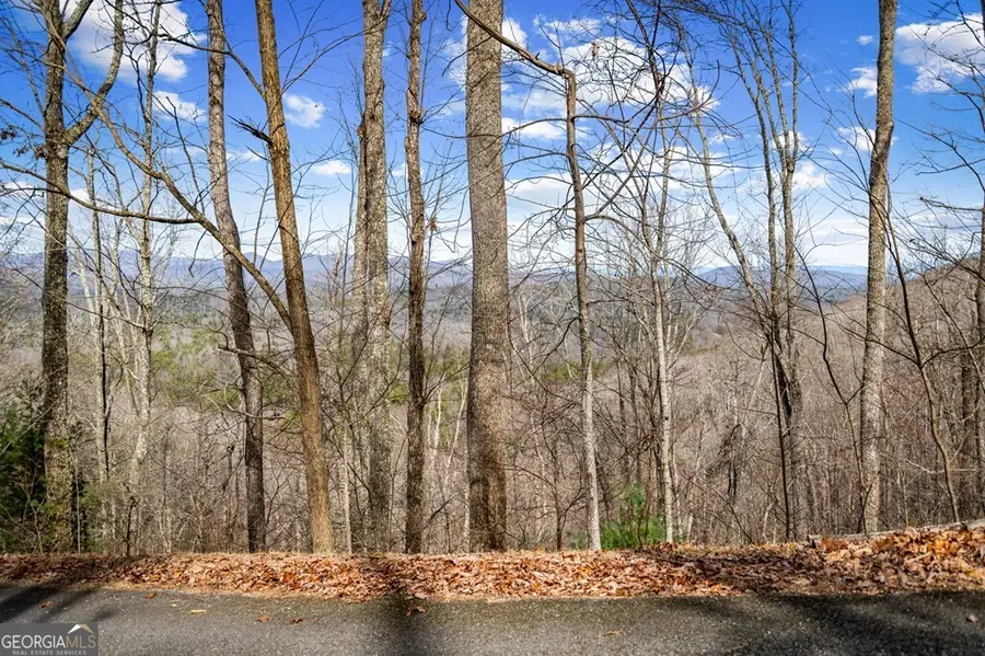 LOT 20 Raven Ridge Circle, Mineral Bluff, GA 30559 - #2