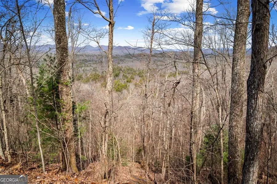 LOT 20 Raven Ridge Circle, Mineral Bluff, GA 30559 - #3