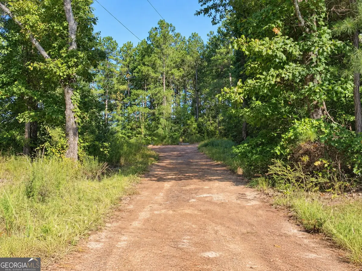 818 Rock Quarry Road, Yatesville, GA 31097 - #1
