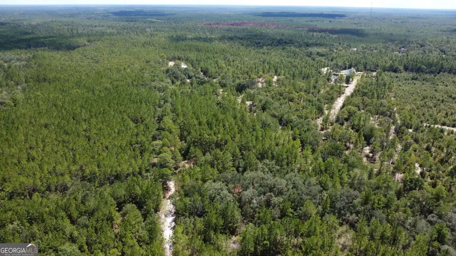 LOT 1 Porter Road, Pembroke, GA 31321 - #2