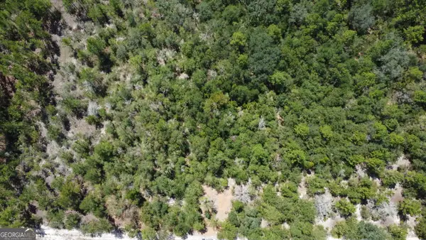 LOT 4 Porter Road, Pembroke, GA 31321