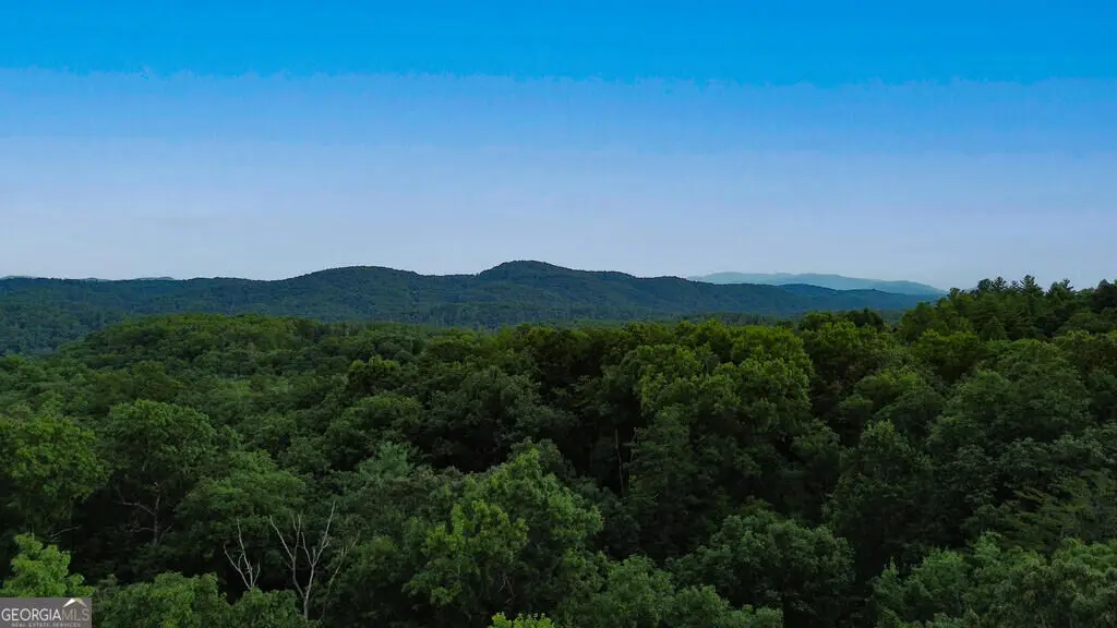 LOT 6 Allaire Lane, Mineral Bluff, GA 30559 - #1
