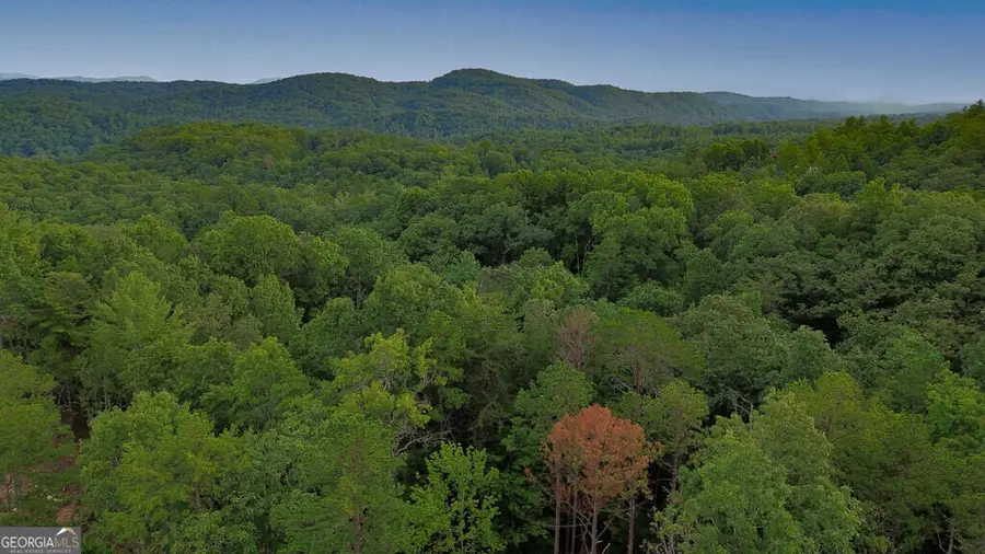 LOT 6 Allaire Lane, Mineral Bluff, GA 30559 - #2