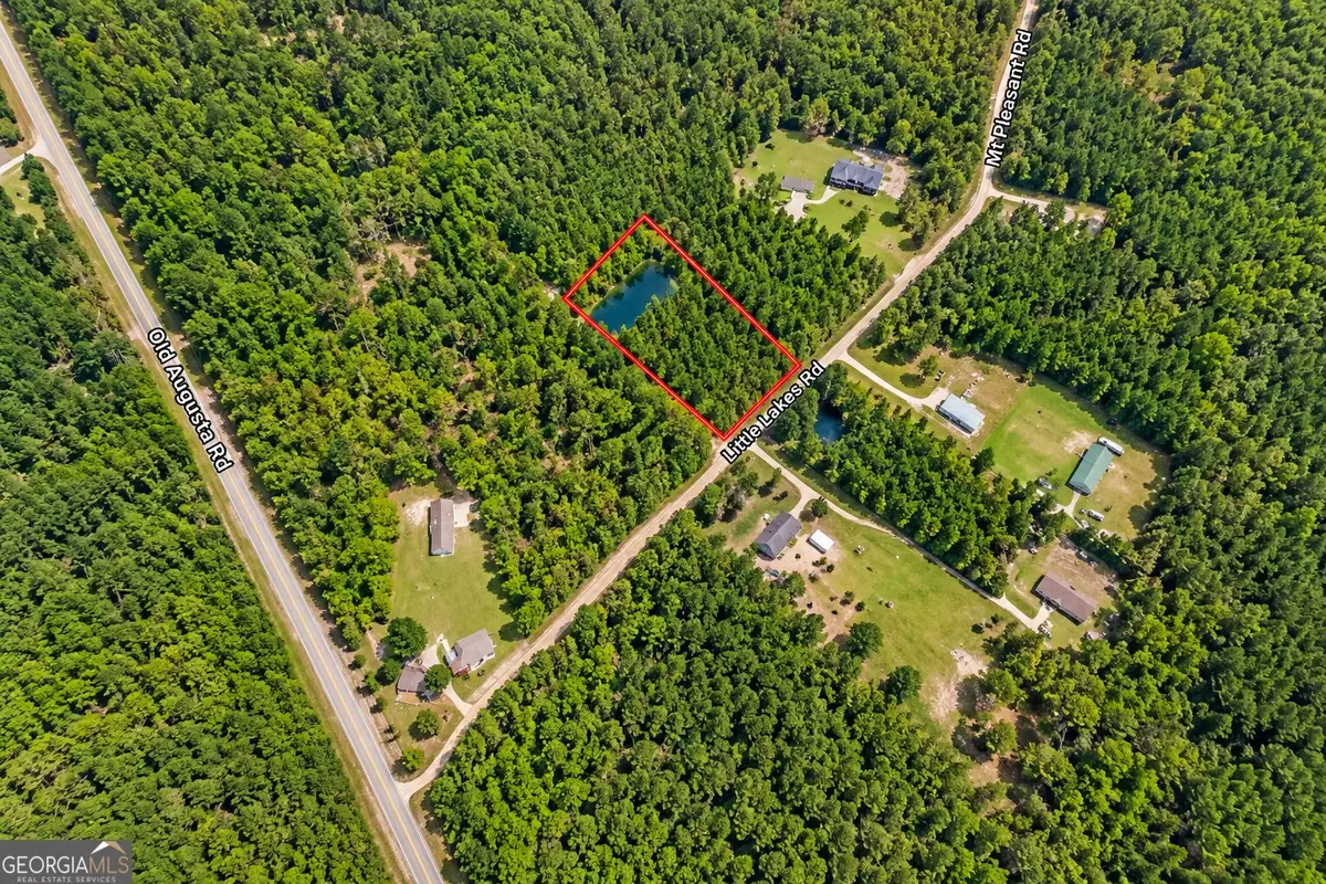 1.5 ACRES Mt Pleasant Road, Clyo, GA 31303 - #1