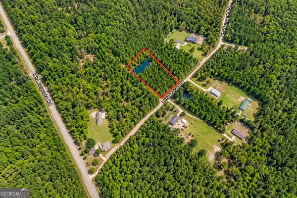 1.5 ACRES Mt Pleasant Road, Clyo, GA 31303