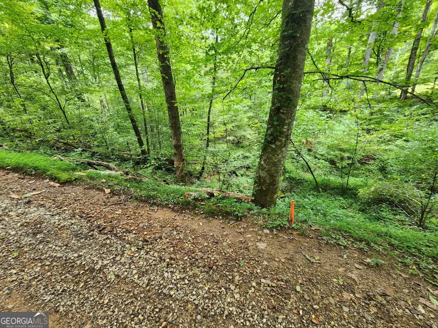 TRACT 2B Poplar Cove Trail, Suches, GA 30572 - #2