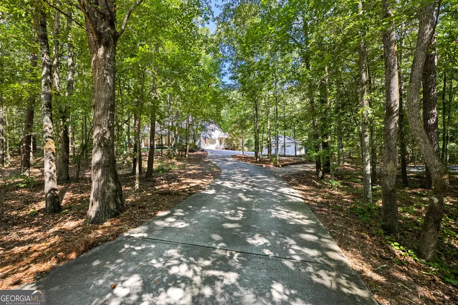 110 Lost Creek Court, Senoia, GA 30276 - #3