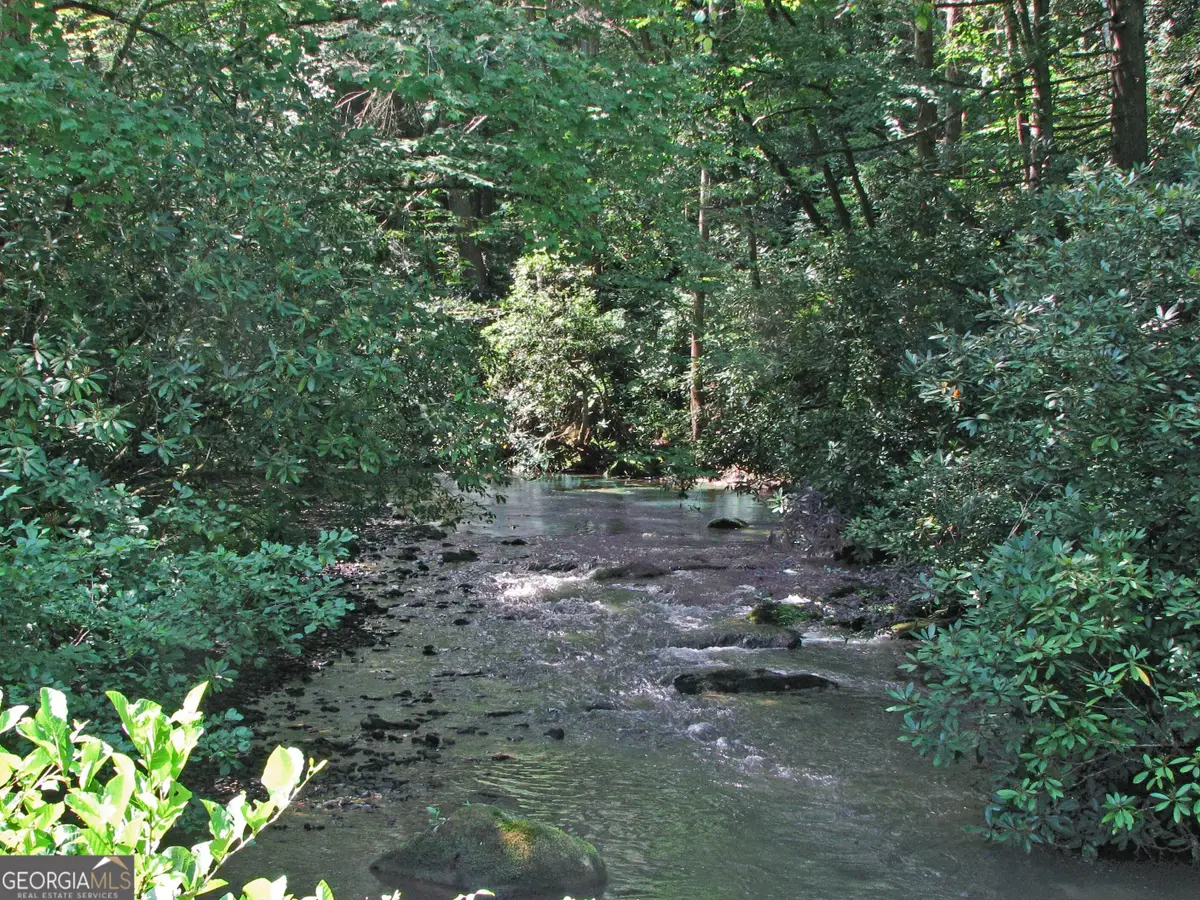 LOT 8 Snowbird Woods Road, Robbinsville, NC 28771 - #1