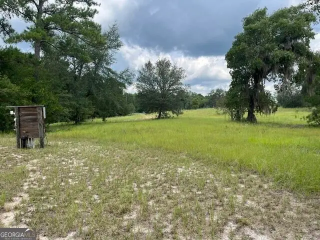 10532 Stillmore Highway, Metter, GA 30439 - #2