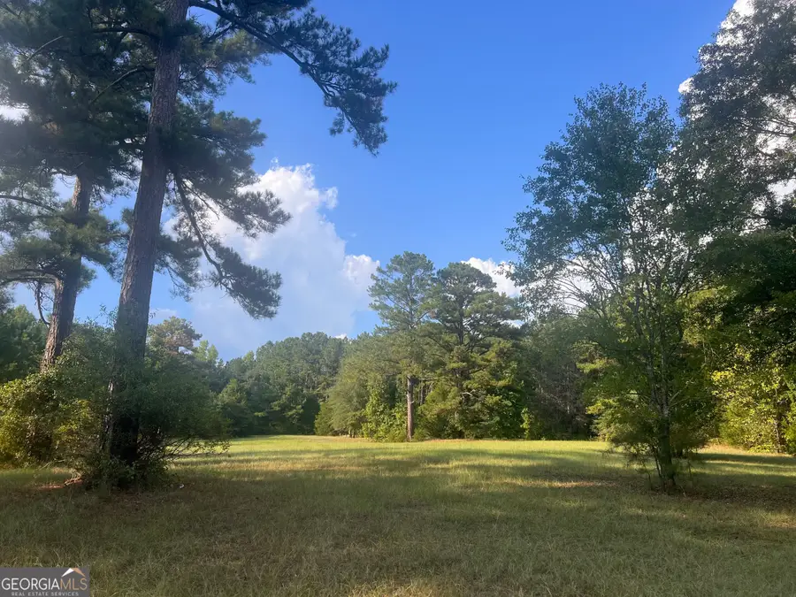 2734 Flat Shoals Road, Concord, GA 30206 - #3