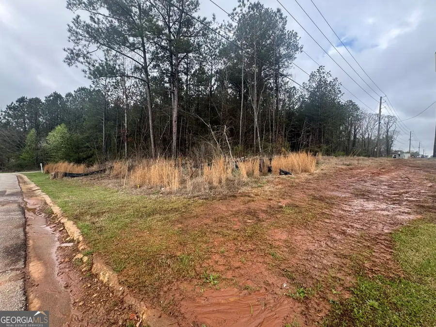 6679 Highway 42, Rex, GA 30273 - #3