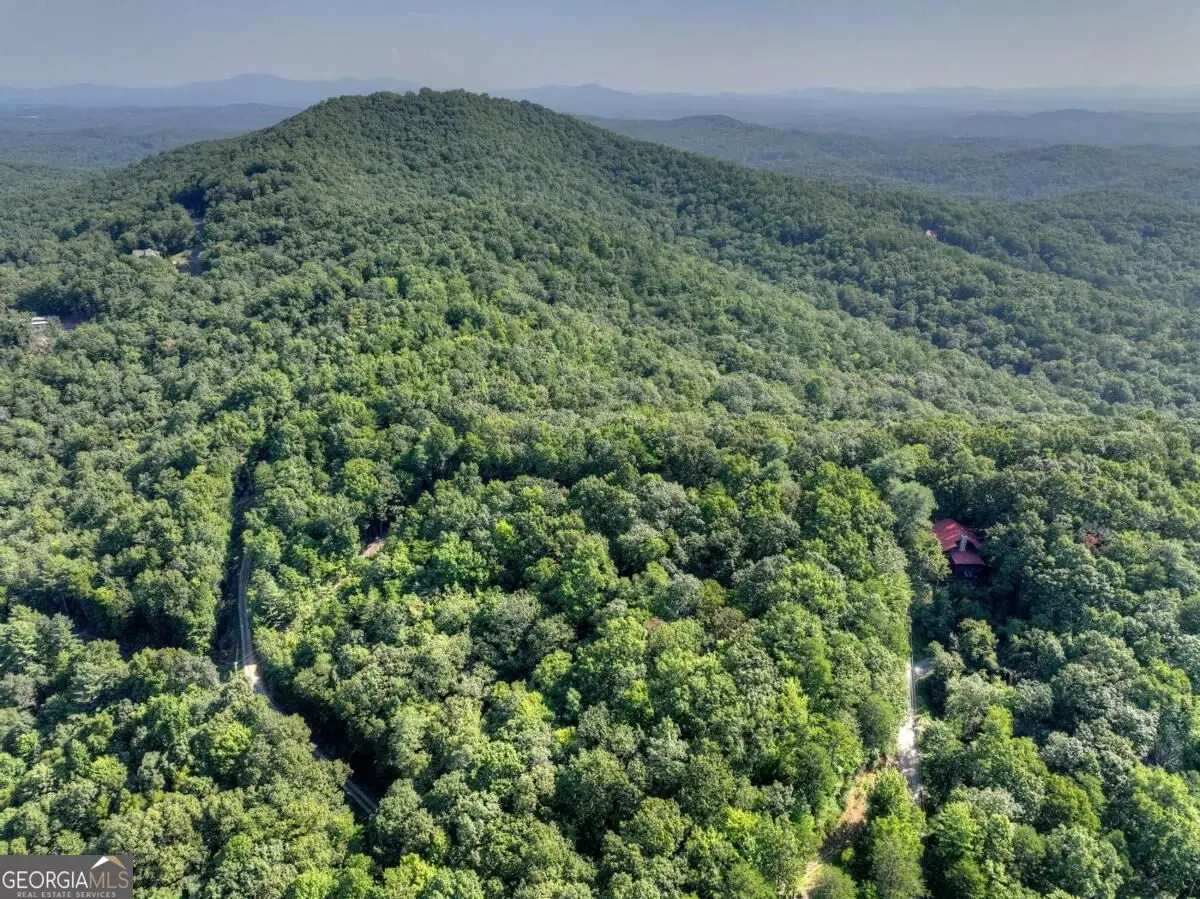 3.6 AC Prince Mountain Road, Cherry Log, GA 30522 - #1