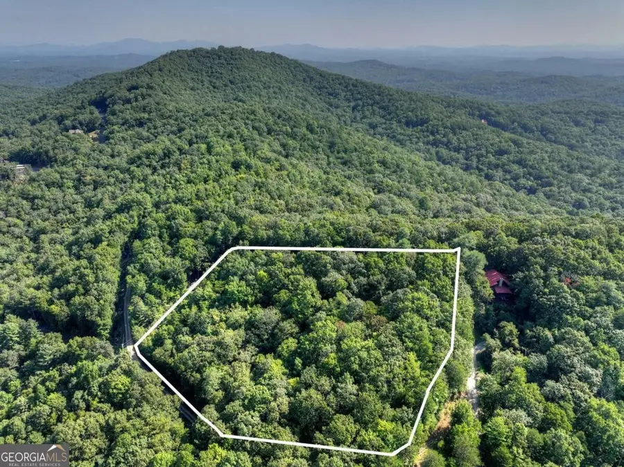 3.6 AC Prince Mountain Road, Cherry Log, GA 30522 - #2