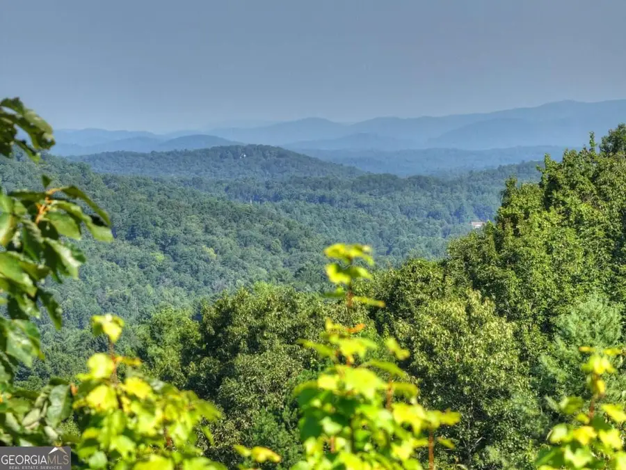 3.6 AC Prince Mountain Road, Cherry Log, GA 30522 - #3
