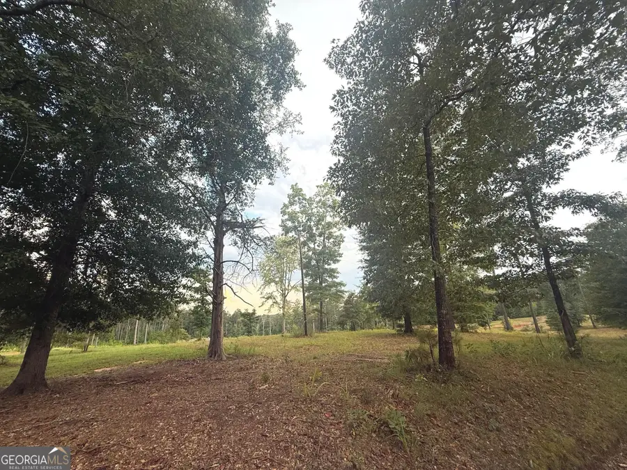 305 Fincher Lane, Covington, GA 30016 - #3