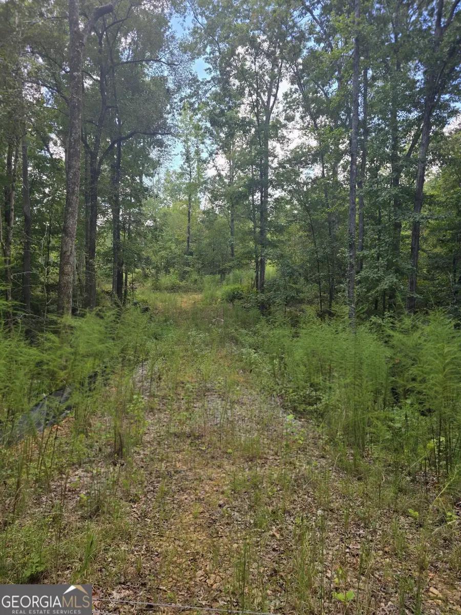 888 Forrester Cemetery Road, Covington, GA 30014 - #2
