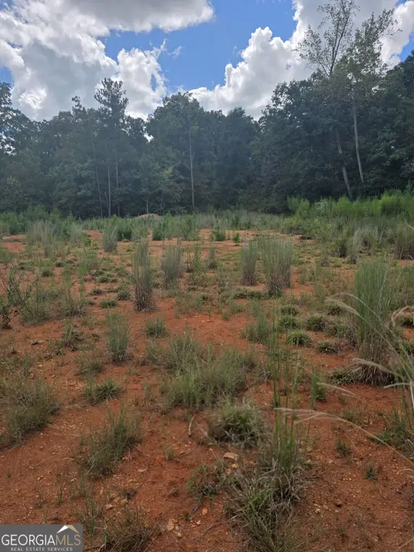 890 Forrester Cemetery Road, Covington, GA 30014