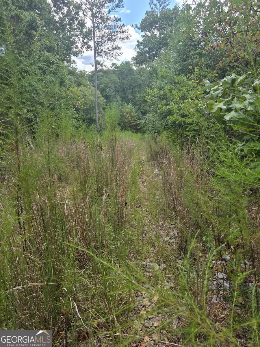 890 Forrester Cemetery Road, Covington, GA 30014 - #2