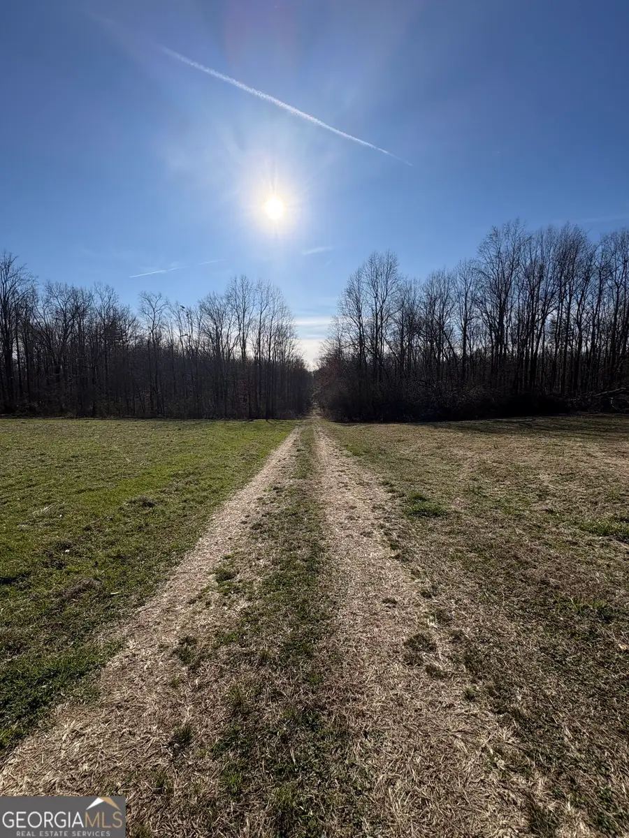 TRACT 6 Stonepile Road, Clarkesville, GA 30523 - #2