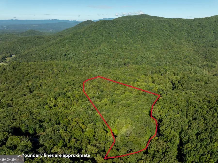 LOT 4 Wilderness Way, Ellijay, GA 30536 - #2