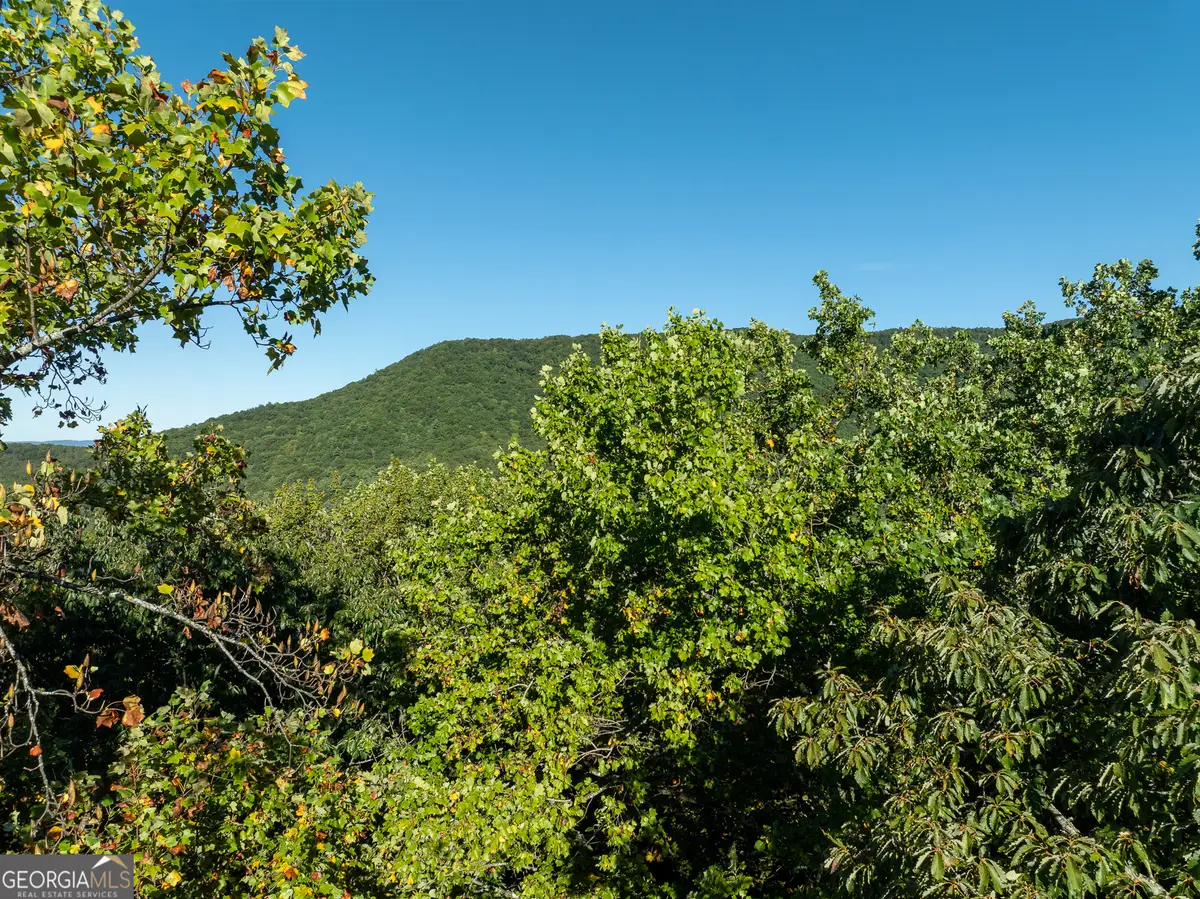LOT 3 Wilderness Way, Ellijay, GA 30540 - #1