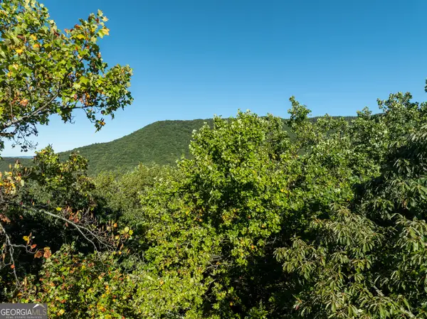 LOT 3 Wilderness Way, Ellijay, GA 30540