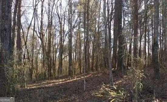 LOT#5, 11+ AC. Mcbride Road #LOT 5, Fayetteville, GA 30215 - #2