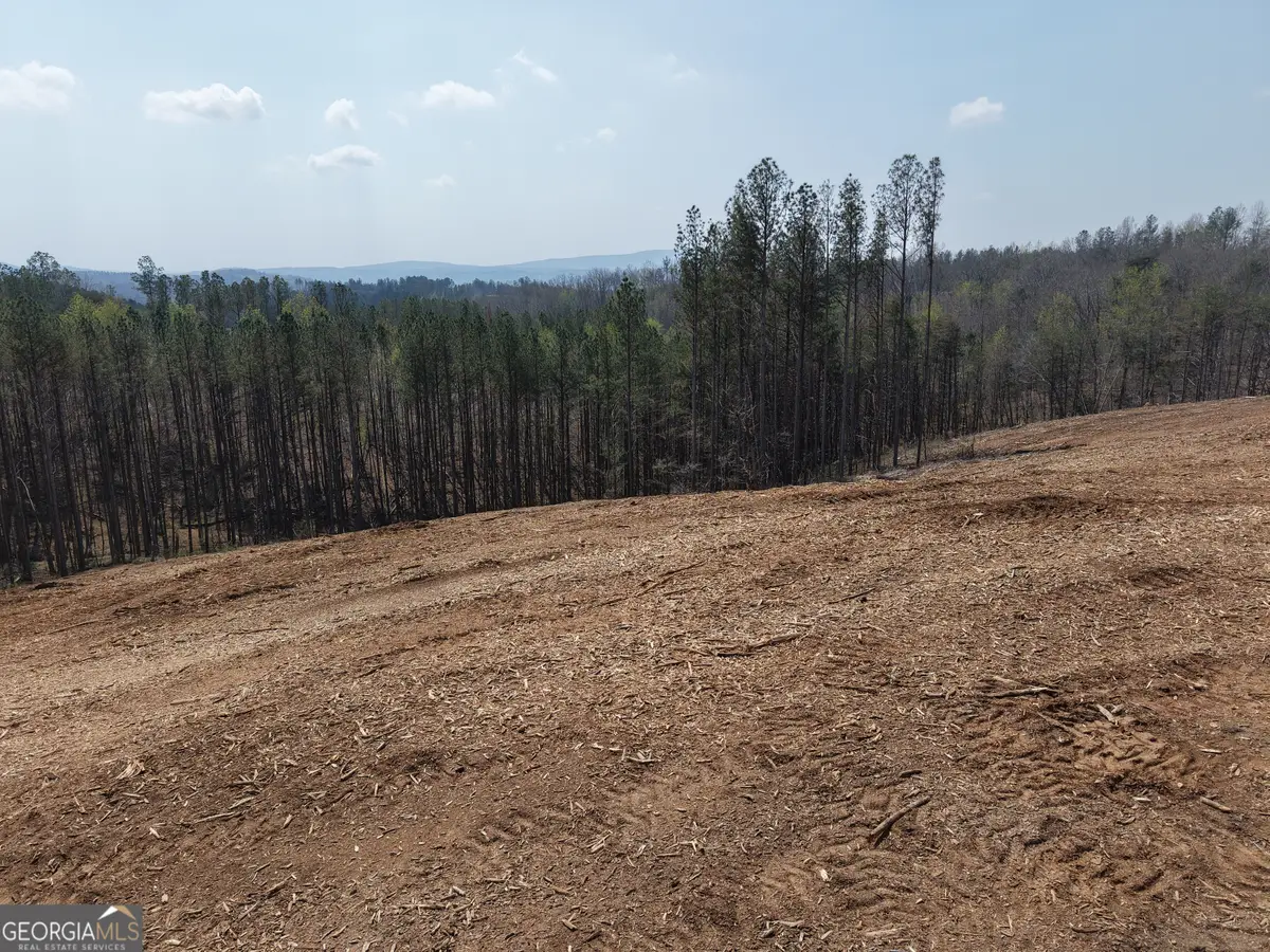 0 Young Loop #7206 PARCEL C, Fairmount, GA 30139 - #1