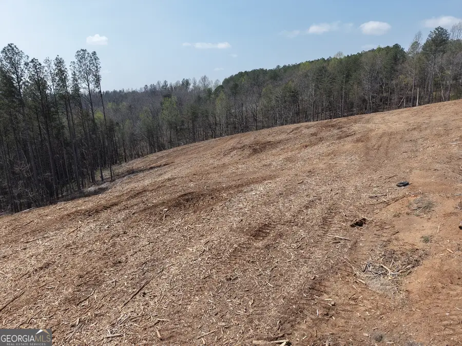 0 Young Loop #7206 PARCEL C, Fairmount, GA 30139 - #2