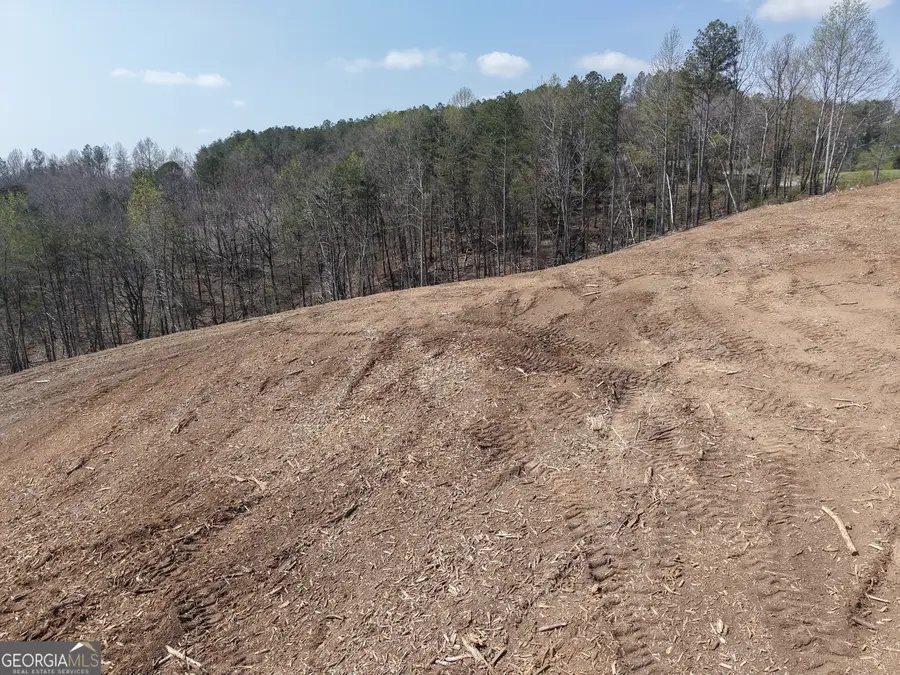 0 Young Loop #7206 PARCEL C, Fairmount, GA 30139 - #3