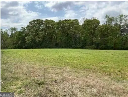 1325A Holland Drive, Byromville, GA 31007 - #1