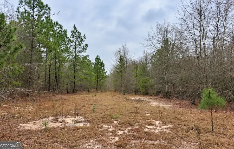 440 Modoc Road, Swainsboro, GA 30401 - #2