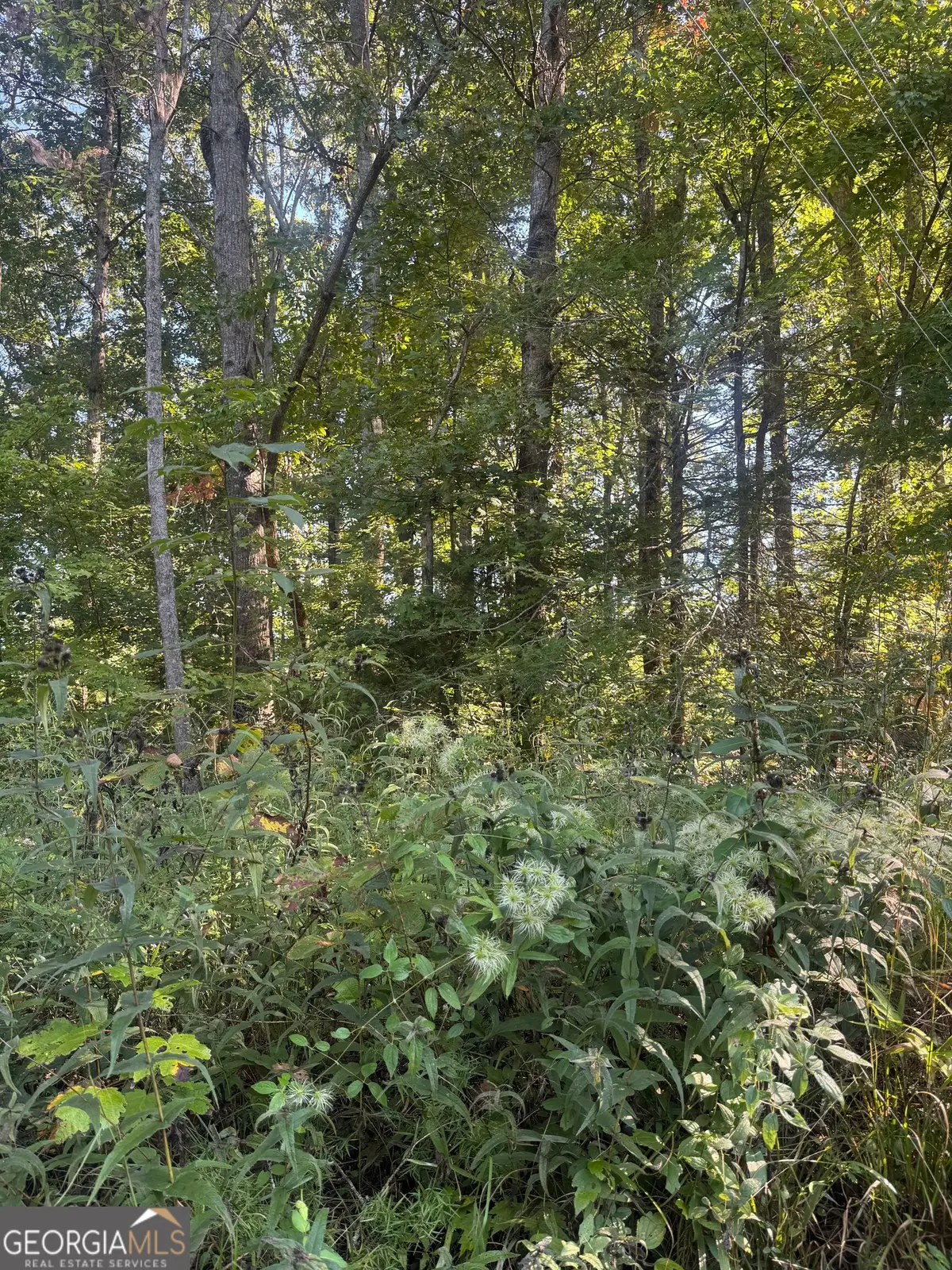 LOT 3 Roberts Ridge Road, Ellijay, GA 30540 - #1