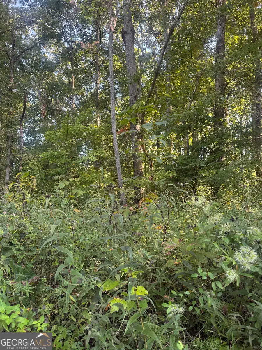 LOT 3 Roberts Ridge Road, Ellijay, GA 30540 - #2