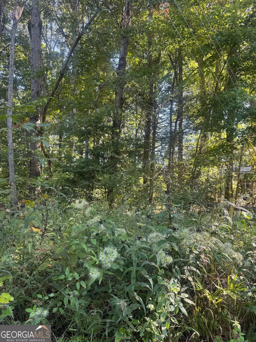 LOT 3 Roberts Ridge Road, Ellijay, GA 30540 - #3