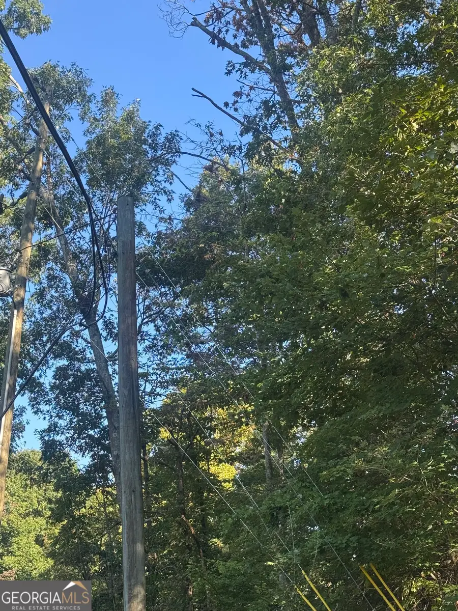 LOT 5 Roberts Ridge Road, Ellijay, GA 30540 - #2