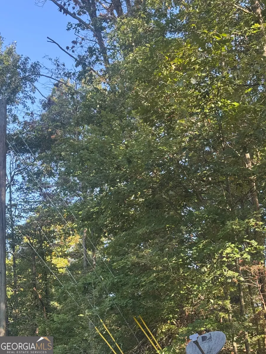 LOT 5 Roberts Ridge Road, Ellijay, GA 30540 - #3
