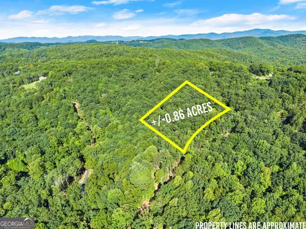 375 Mountain Crest Drive, Clarkesville, GA 30523