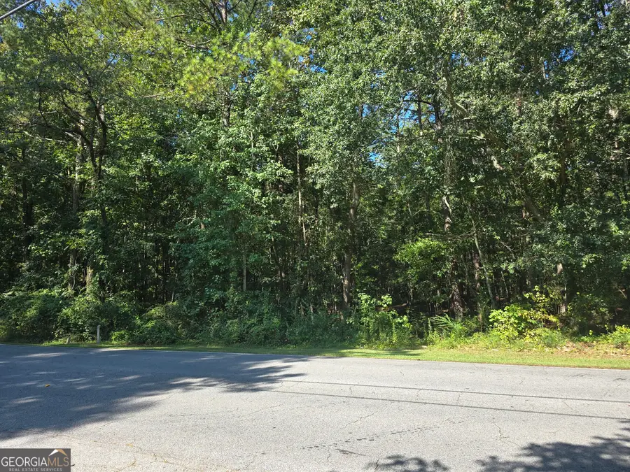 0 Phipps Road, Palmetto, GA 30268 - #2