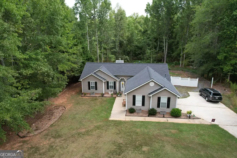 295 Hayward Bishop Way, Senoia, GA 30276 - #3